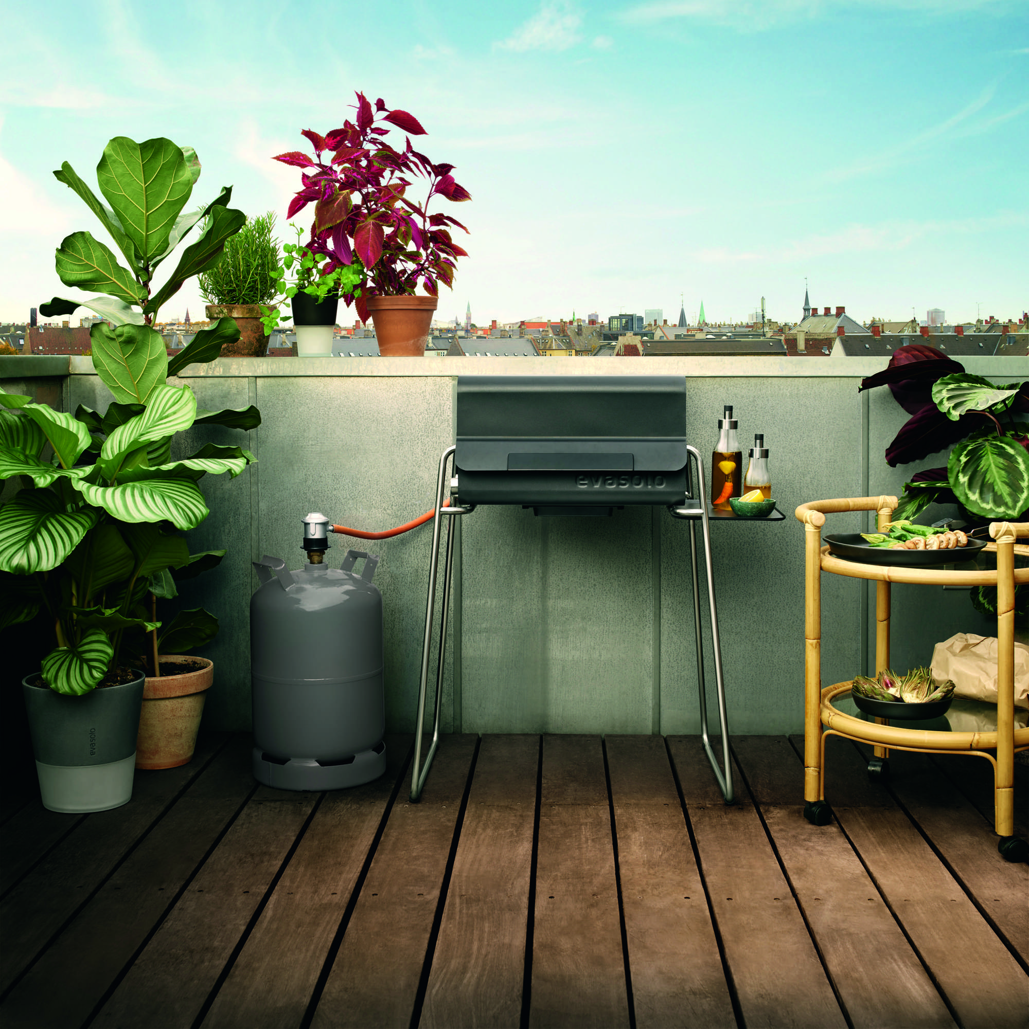 Eva solo deals gas grill