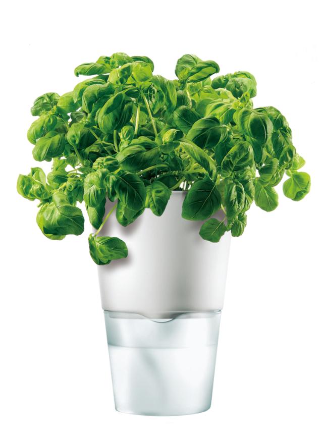 Blumentopf Ø11cm white