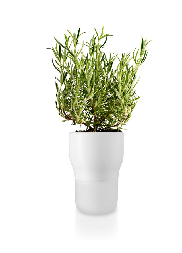 Flowerpot - Ø11 cm. - self-watering - White