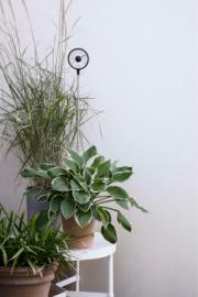 DETAIL567756LANG4Lifestyle_Photo_1