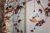 Mangeoire à oiseaux - Verre
