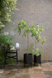 DETAIL741010016LANG3Lifestyle_Photo_1