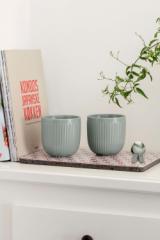 Legio Nova Kop 34 cl uden hank 2 stk. Sage