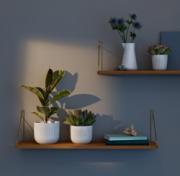 DETAIL887297LANG1Lifestyle_Photo_1