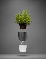 Herb pot 11cm frosted glass