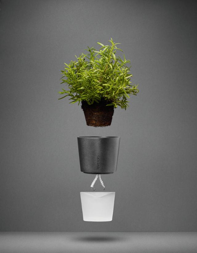 Herb pot 11cm frosted glass