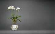 DETAIL568240LANG1Lifestyle_Photo_1