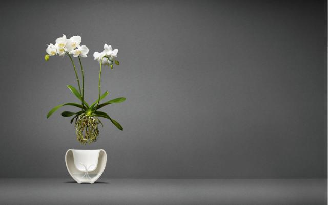Pot à orchidée - 17 cm - Blanche