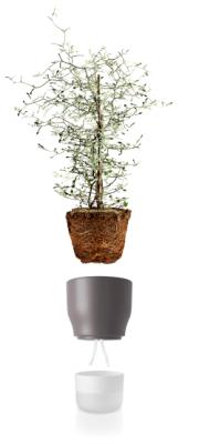 DETAIL568154LANG1Lifestyle_Photo_2