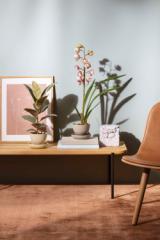 Self-watering flowerpot Ø13 Nature