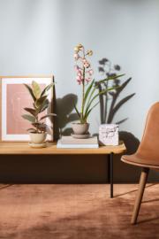 DETAIL568167LANG1Lifestyle_Photo_2