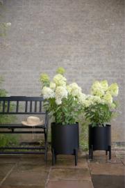 DETAIL741010016LANG3Lifestyle_Photo_2