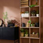 DETAIL568166LANG1Lifestyle_Photo_3