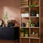 DETAIL568168LANG5Lifestyle_Photo_3