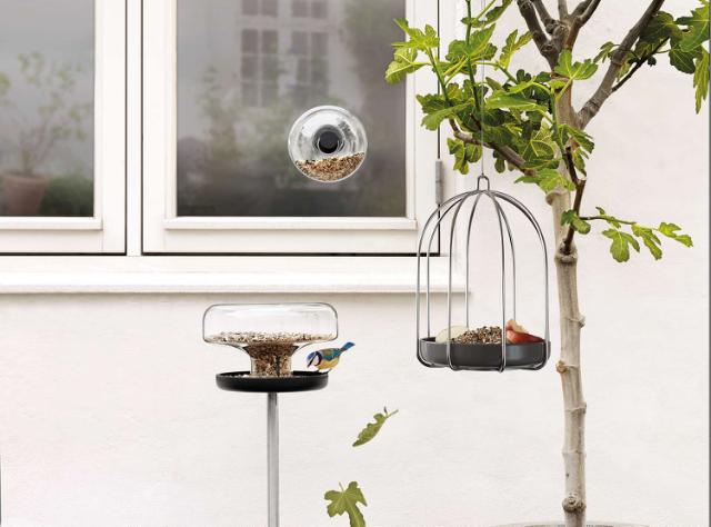 Bird feeding cage