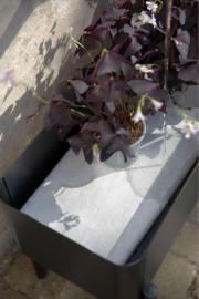 DETAIL741010010LANG1Lifestyle_Photo_4