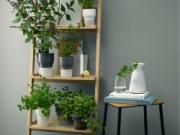 DETAIL568154LANG1Lifestyle_Photo_5