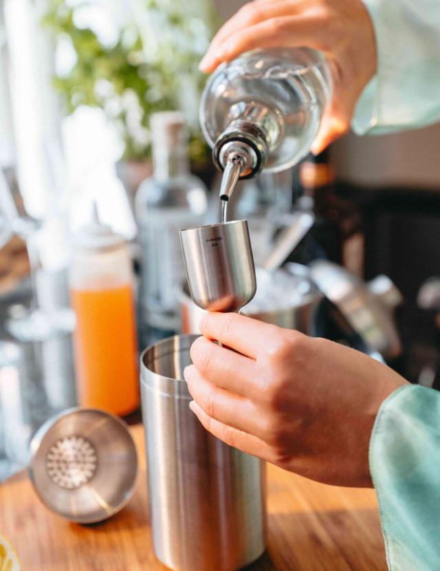 Liquid Lounge Cocktail shaker