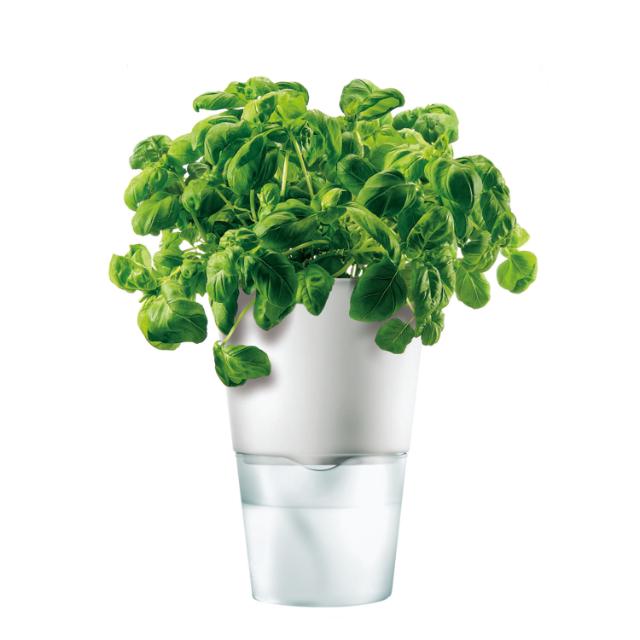 Blumentopf Ø11cm white