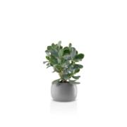 DETAIL568170LANG1Product_Photo_1