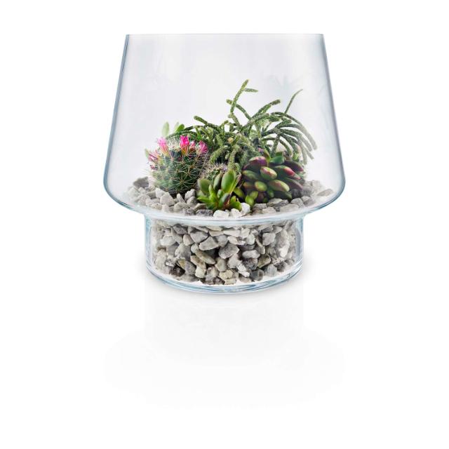 Glasvas för suckulenter - Ø 21 cm