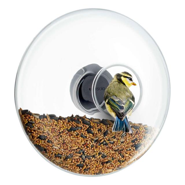Window bird feeder - Large