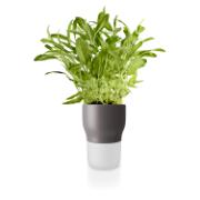 DETAIL568153LANG1Product_Photo_2