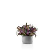 DETAIL568170LANG1Product_Photo_2