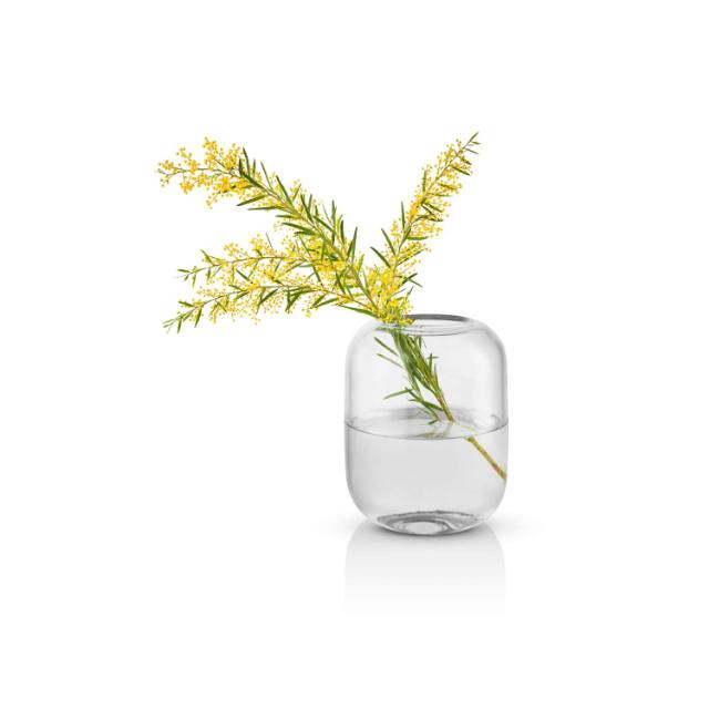 Vase Acorn - 16.5 cm - clear