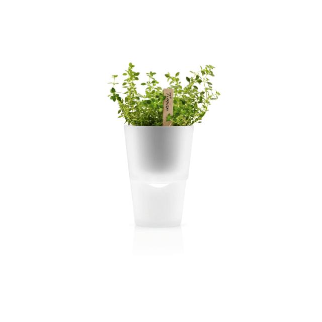 Herb pot 11cm frosted glass
