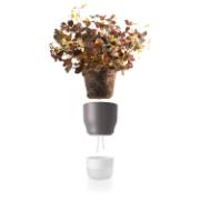 DETAIL568152LANG1Product_Photo_3