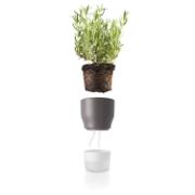 DETAIL568153LANG1Product_Photo_3