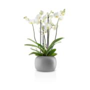 DETAIL568171LANG1Product_Photo_4