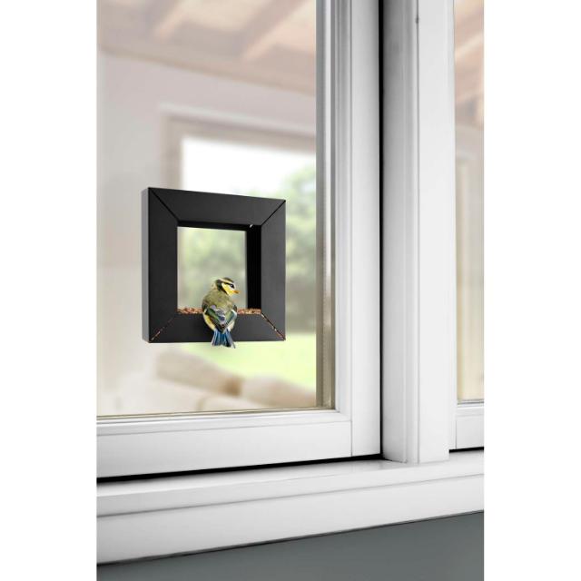 Frame bird feeder