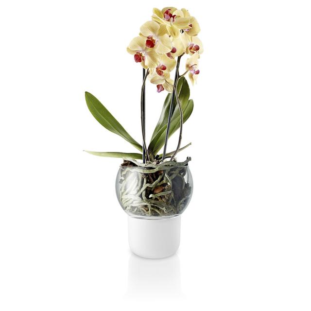 Orchideentopf - Ø15 cm. - selbstbewässernder