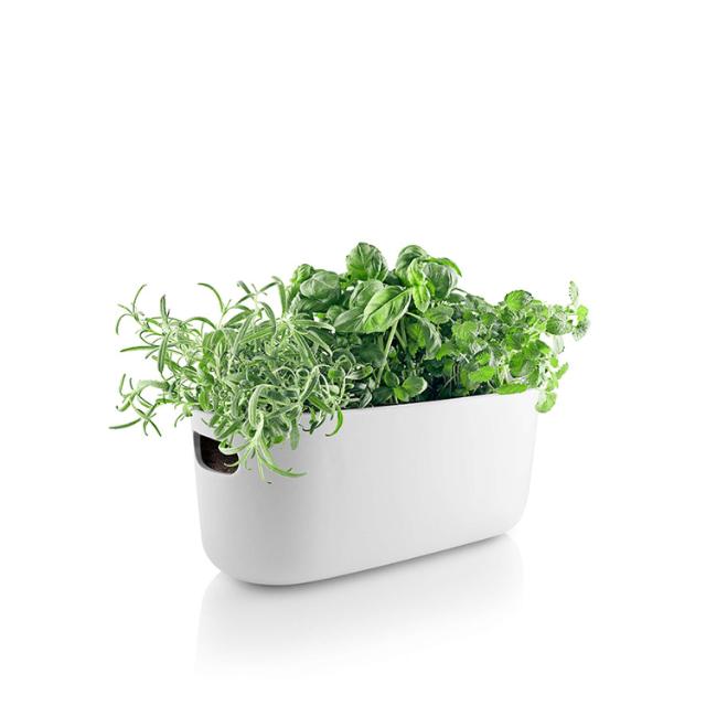 Herb organiser - Self-watering - White