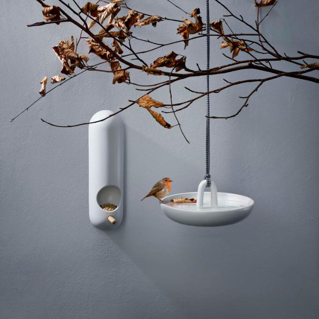 Wall-mounted bird feeder tube