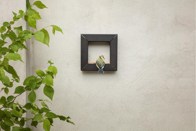 Frame bird feeder