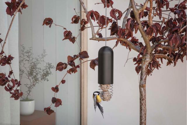 Hanging suet bird feeder