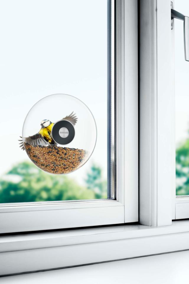 Window bird feeder - Large