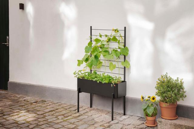 Lifestyle_Photo_4 Simply Grow Planter Trellis