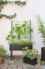 Lifestyle_Photo_5 Simply Grow Planter Trellis