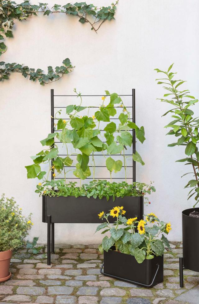 Lifestyle_Photo_5 Simply Grow Planter Trellis
