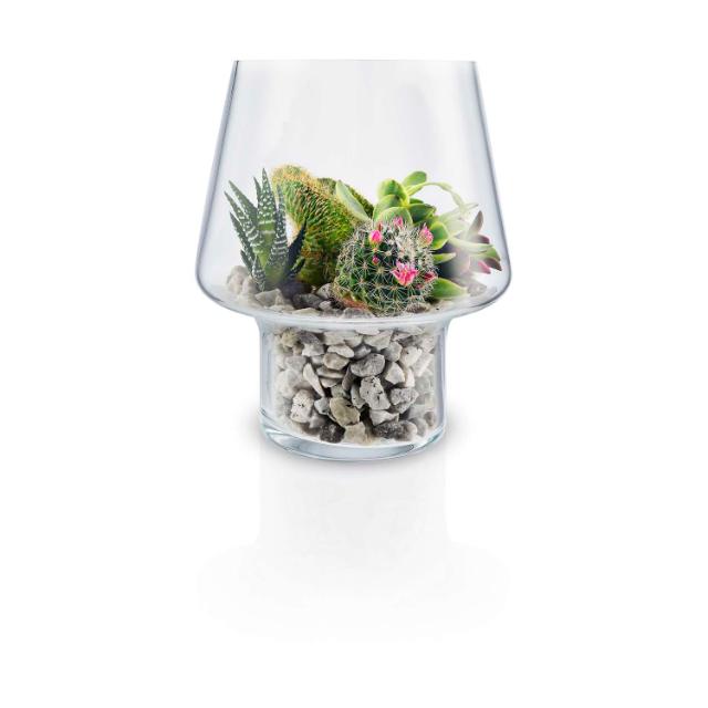 Glasvas för suckulenter - Ø 15 cm