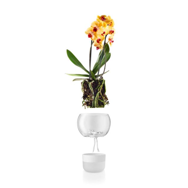 Orkidépotte - Ø15 cm. - selvvannende