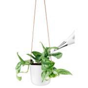 Product_Photo_2 DETAIL568164LANG2Product_Photo_2