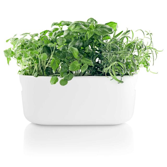 Product_Photo_2 Herb organiser - Self-watering - White