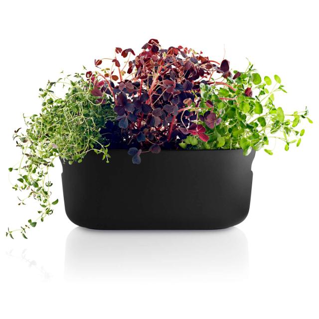 Herb organiser - Self-watering - Black