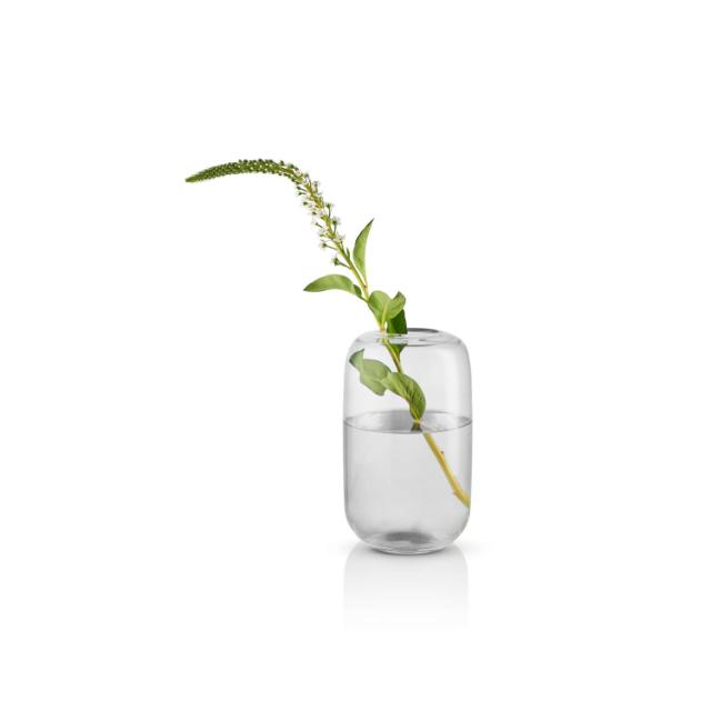 Acorn vase - 22 cm - clear
