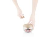 Product_Photo_3 DETAIL531430LANG1Product_Photo_3